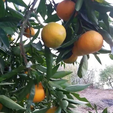 Semesterbostad El Vergel *